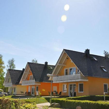 Ferienhaus Mueritzbrise / Eg-Appartement Marienfelde Exteriör bild